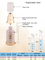 25ml 50ml kosmetische Airless-Sprühflaschen aus Kunststoff